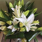 Simply Lilies