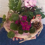 Pretty planted basket