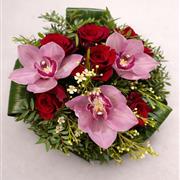 Velvet Orchid Romance