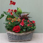 Seasonal Garden Basket