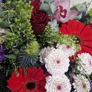 Florist choice -Best value